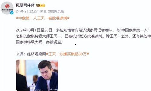 古越爆料王天一最新,古越风云再起，揭秘神秘事件背后真相